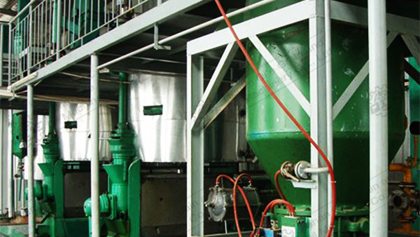 economía circular y biomasa: un punto de inflexión